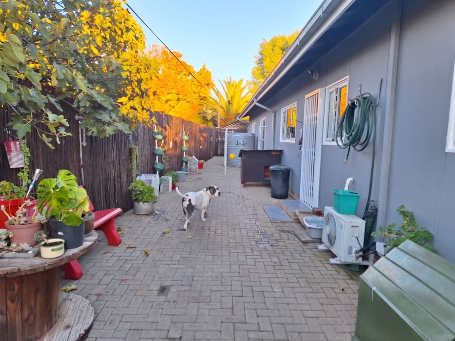 To Let 3 Bedroom Property for Rent in Fichardt Park Free State